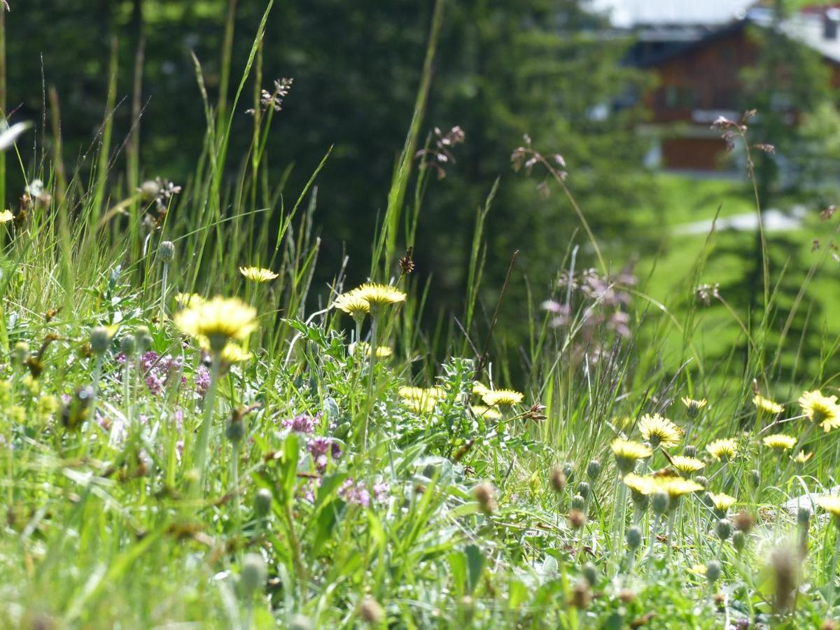 Alpinresortmontafon Garni Gargellen Luaran gambar